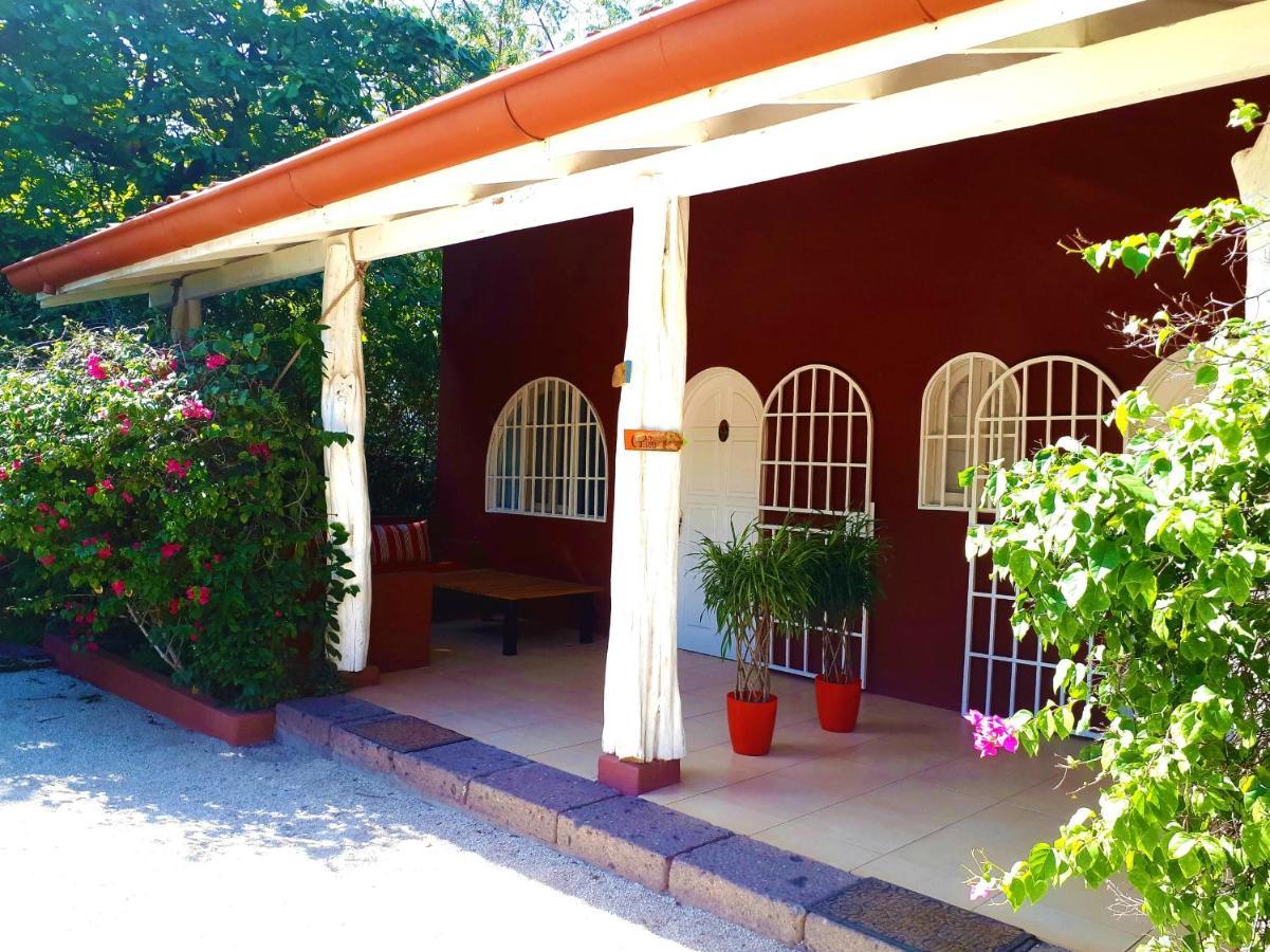 מלון טמארינדו Casa Mapache חדר תמונה