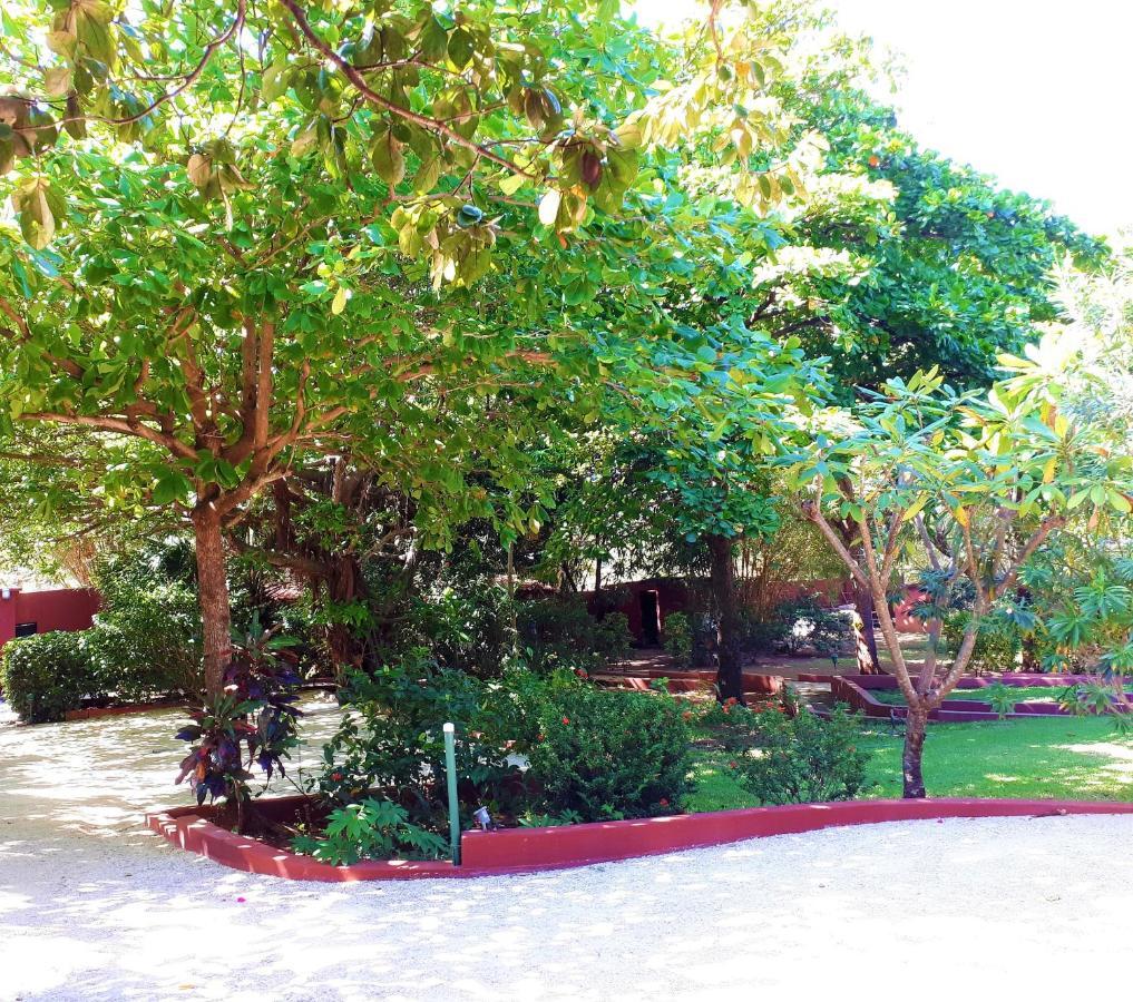 מלון טמארינדו Casa Mapache מראה חיצוני תמונה